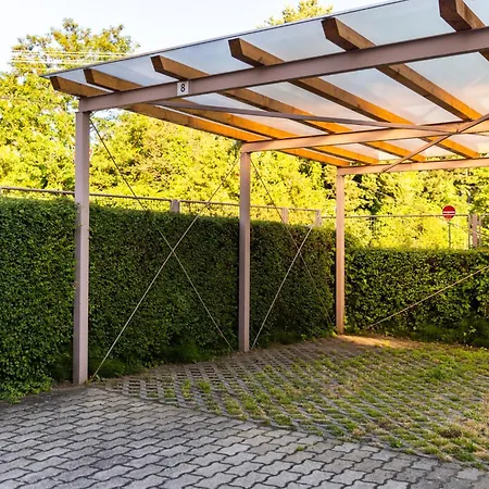 Laguna Family By Bltn 希欧福克