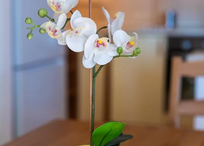 Laguna Family By Bltn アパート シオーフォク